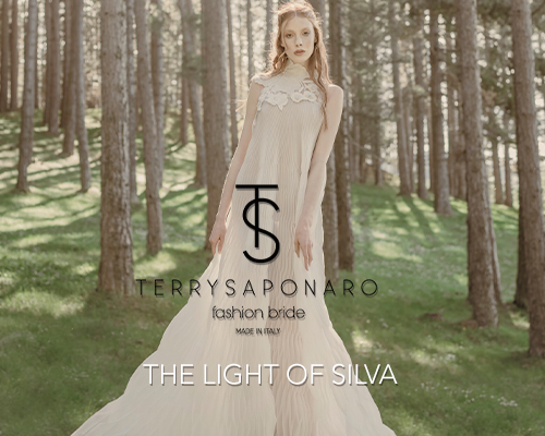 Terry Saponaro - The Light of Silva