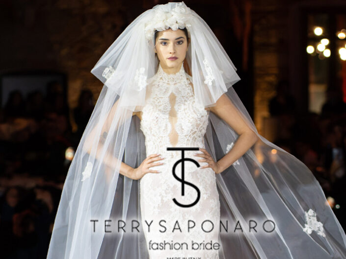 Terry Saponaro Dream