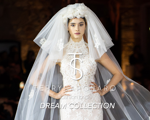 Dream Collection Terry Saponaro